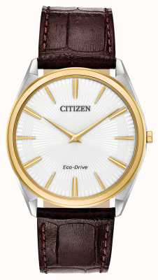 Citizen Stiletto | eco drive dos homens | pulseira de couro marrom | mostrador branco AR3074-03A